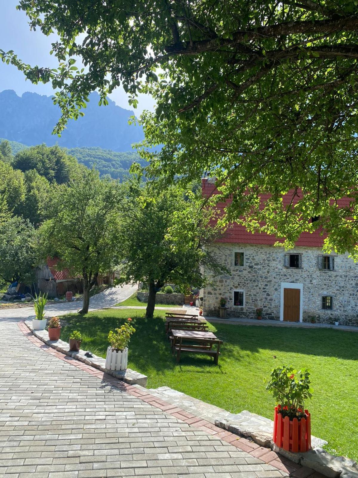 Guesthouse Dritan Tethorja Тети Экстерьер фото