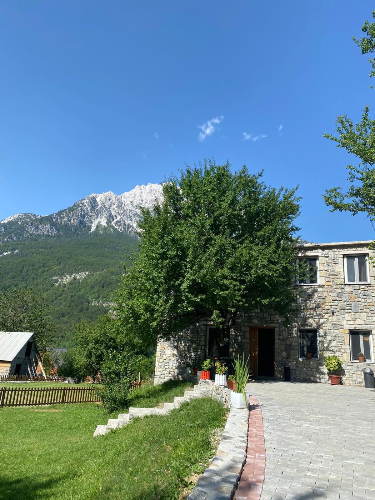 Guesthouse Dritan Tethorja Тети Экстерьер фото