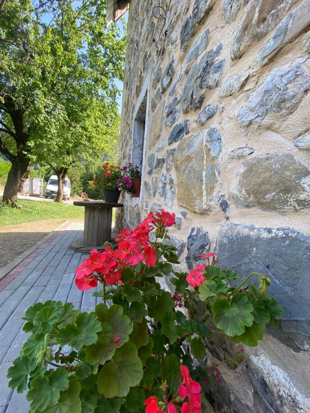 Guesthouse Dritan Tethorja Тети Экстерьер фото