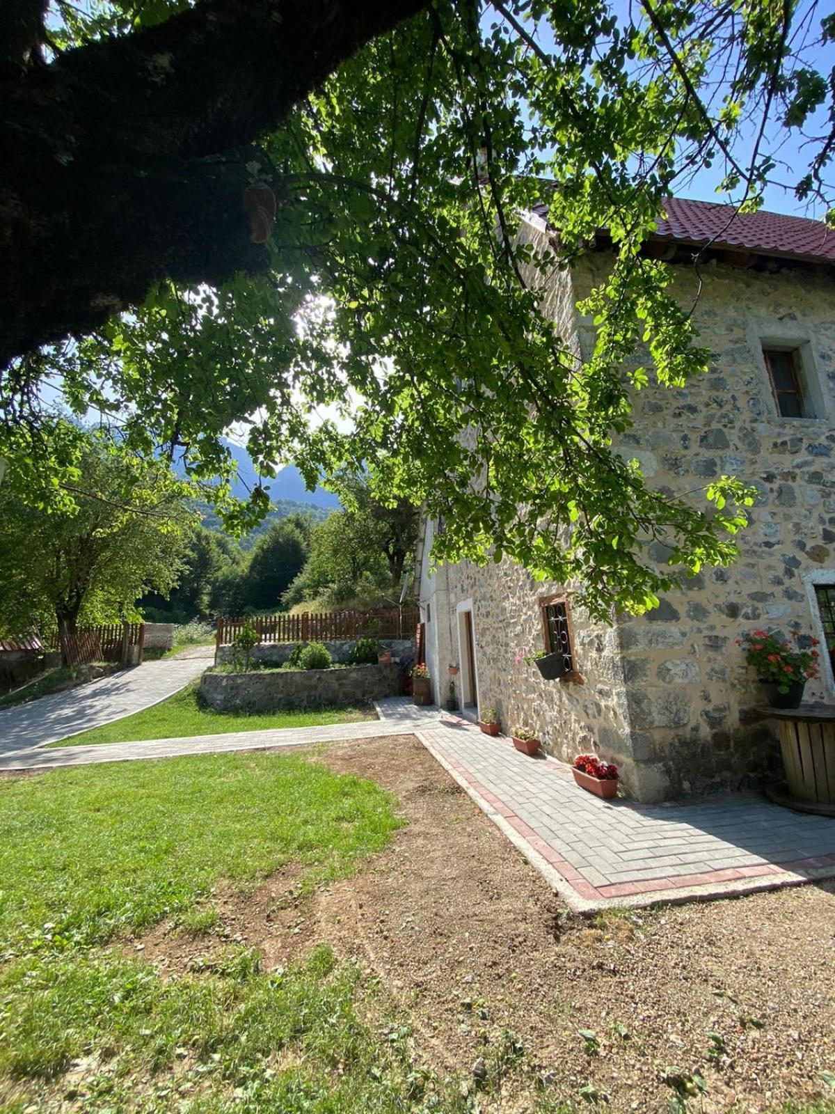 Guesthouse Dritan Tethorja Тети Экстерьер фото