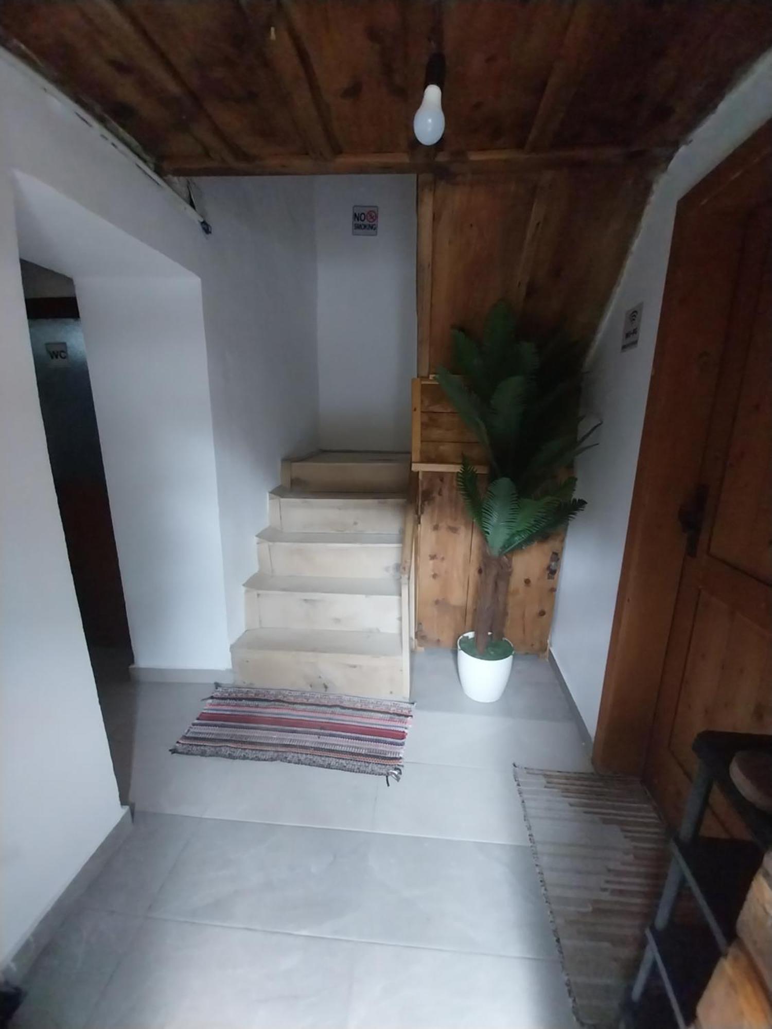 Guesthouse Dritan Tethorja Тети Экстерьер фото