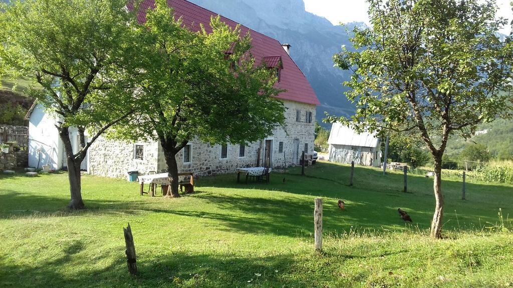 Guesthouse Dritan Tethorja Тети Экстерьер фото
