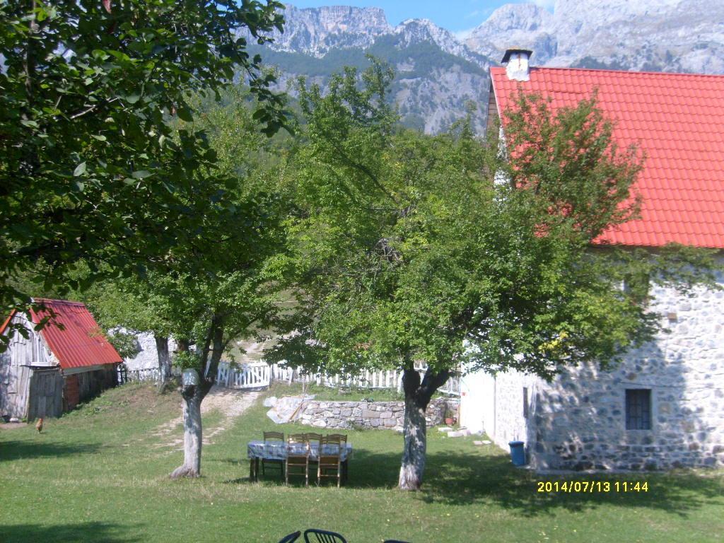 Guesthouse Dritan Tethorja Тети Экстерьер фото