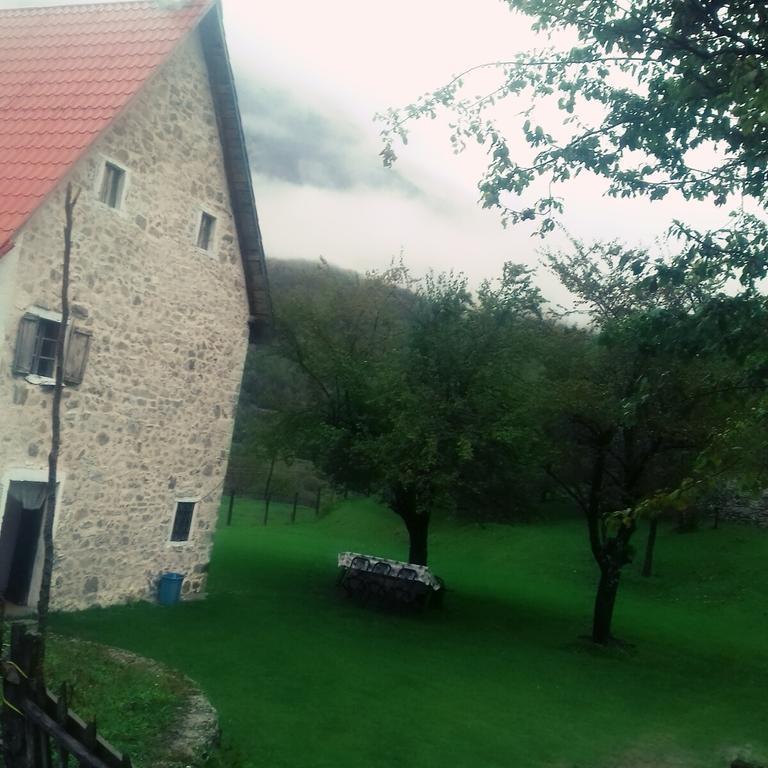 Guesthouse Dritan Tethorja Тети Экстерьер фото