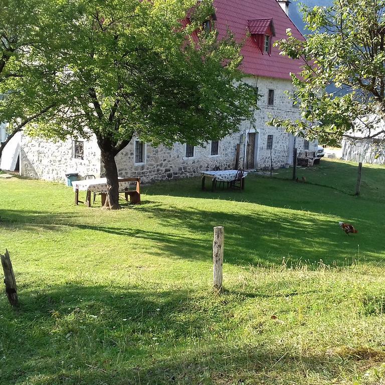 Guesthouse Dritan Tethorja Тети Экстерьер фото
