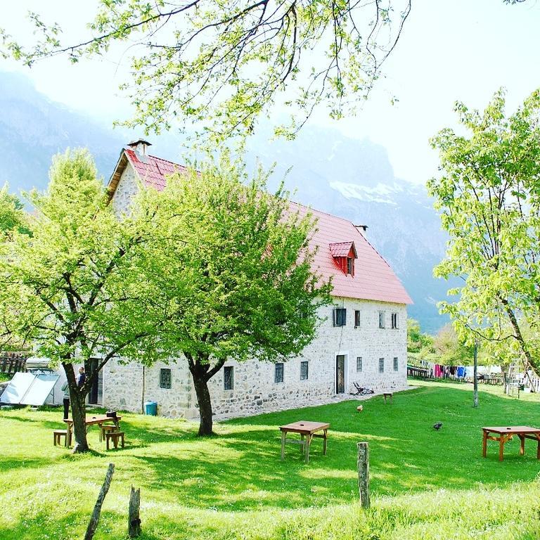 Guesthouse Dritan Tethorja Тети Экстерьер фото