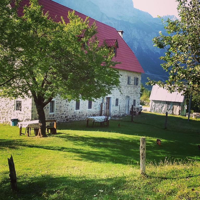 Guesthouse Dritan Tethorja Тети Экстерьер фото