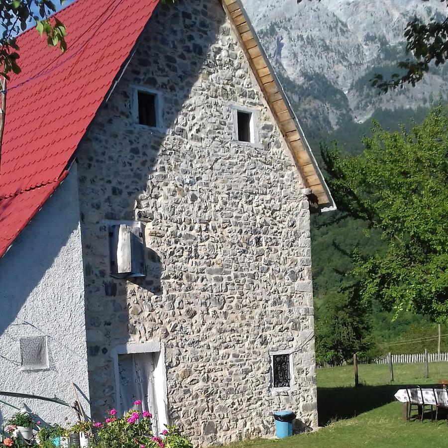 Guesthouse Dritan Tethorja Тети Экстерьер фото