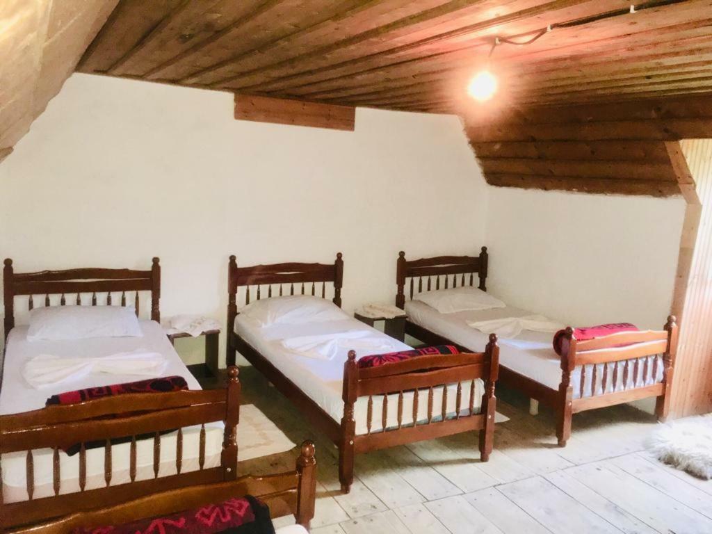Guesthouse Dritan Tethorja Тети Экстерьер фото