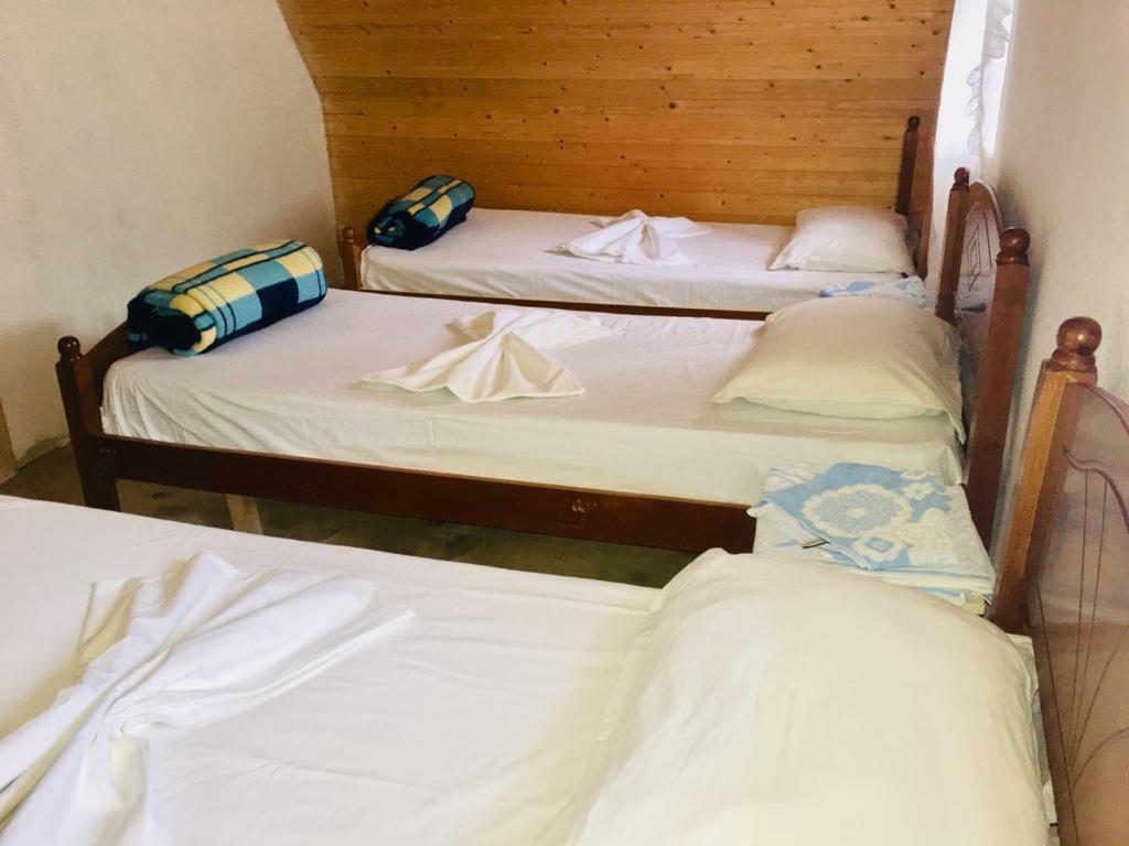 Guesthouse Dritan Tethorja Тети Экстерьер фото